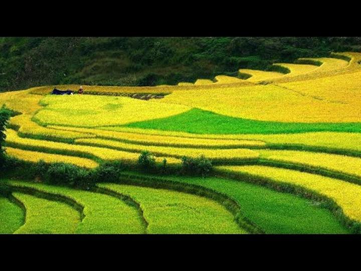Hotspot Matrix: Biến Mua váy hoa mà không biết 4 thành cơ hội marketing đột phá