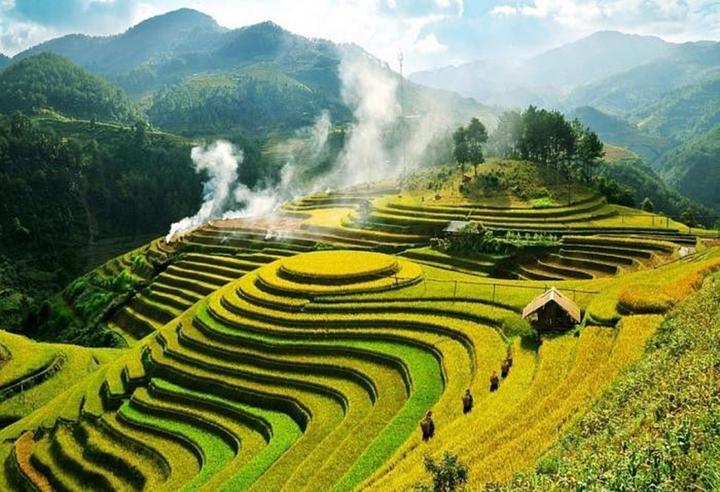 Sốc: Vụ tố