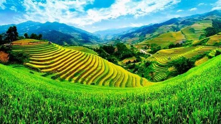 Trong một đoạn video diễn hài gần đây, Bi Béo- con trai của NSND, Cục trưởng